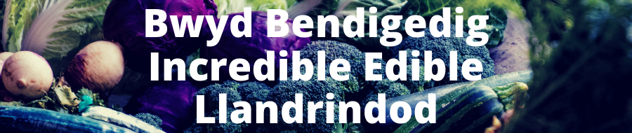 Bwyd Bendigedig Incredible Edible Llandrindod