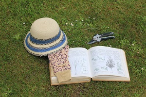 Photo of secateurs, pruning manual, sunhat and gloves, lying on the grass.