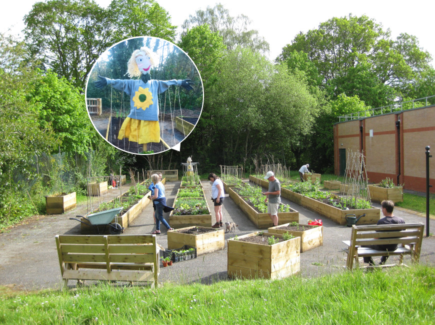 The team planting vegetables in raised beds in the background is a scare crow.